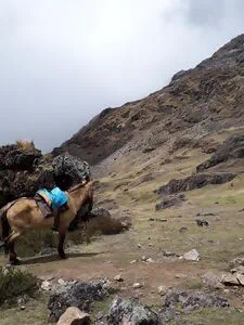 Che cos'è il trekking di Salcantay.