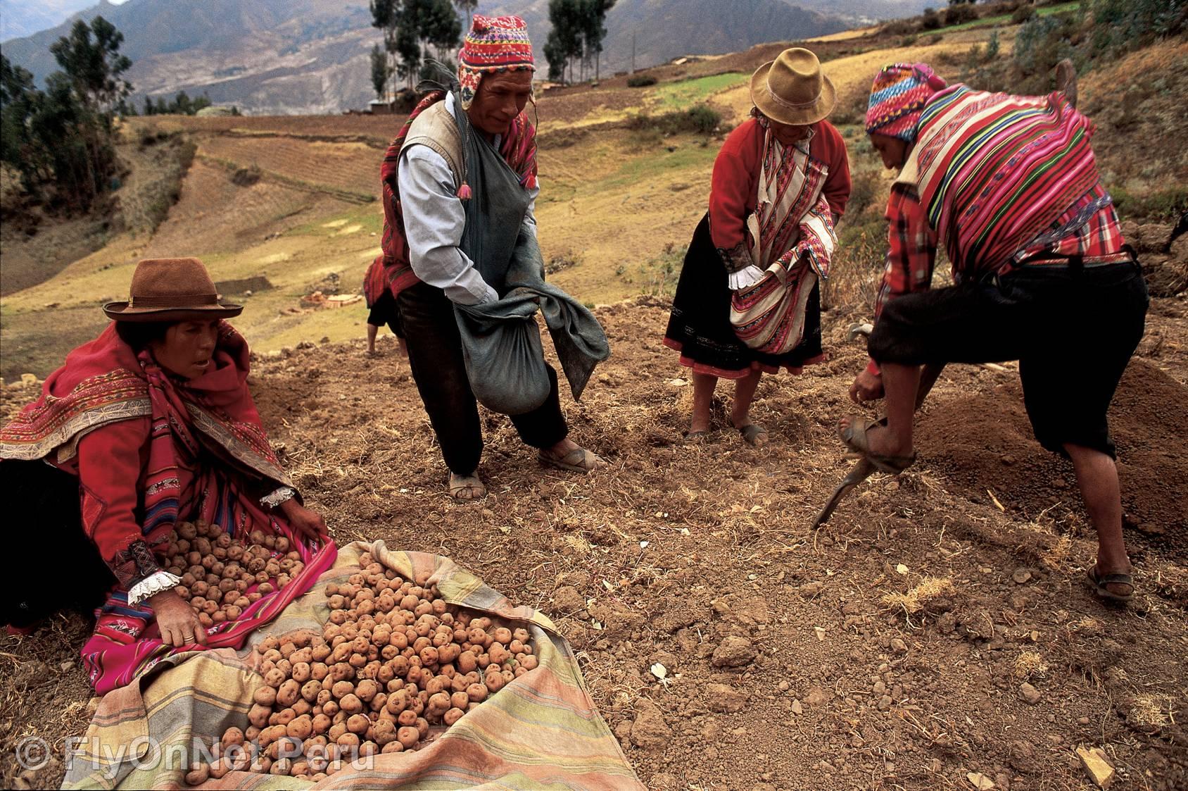 Album fotografico: Cuzco